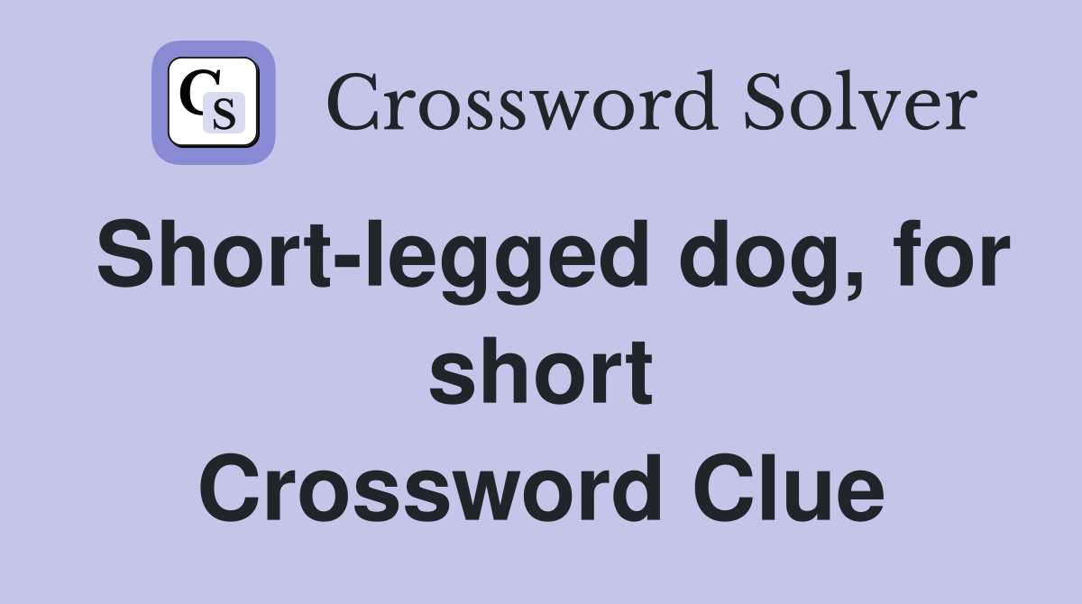 Short-legged dog, for short Crossword Clue