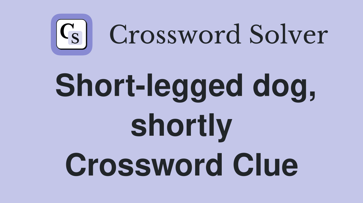 Short-legged dog, shortly Crossword Clue