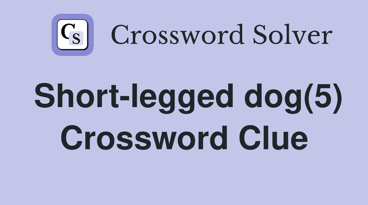 Short-legged dog(5) Crossword Clue