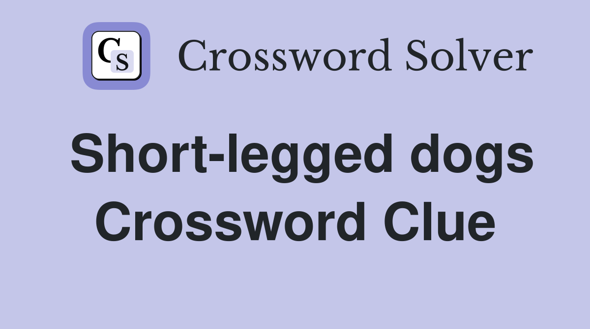 Short-legged dogs Crossword Clue