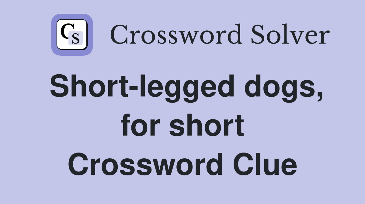 Short-legged dogs, for short Crossword Clue
