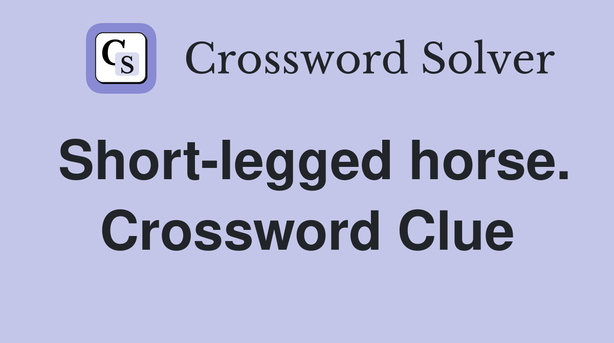 Short-legged horse. Crossword Clue