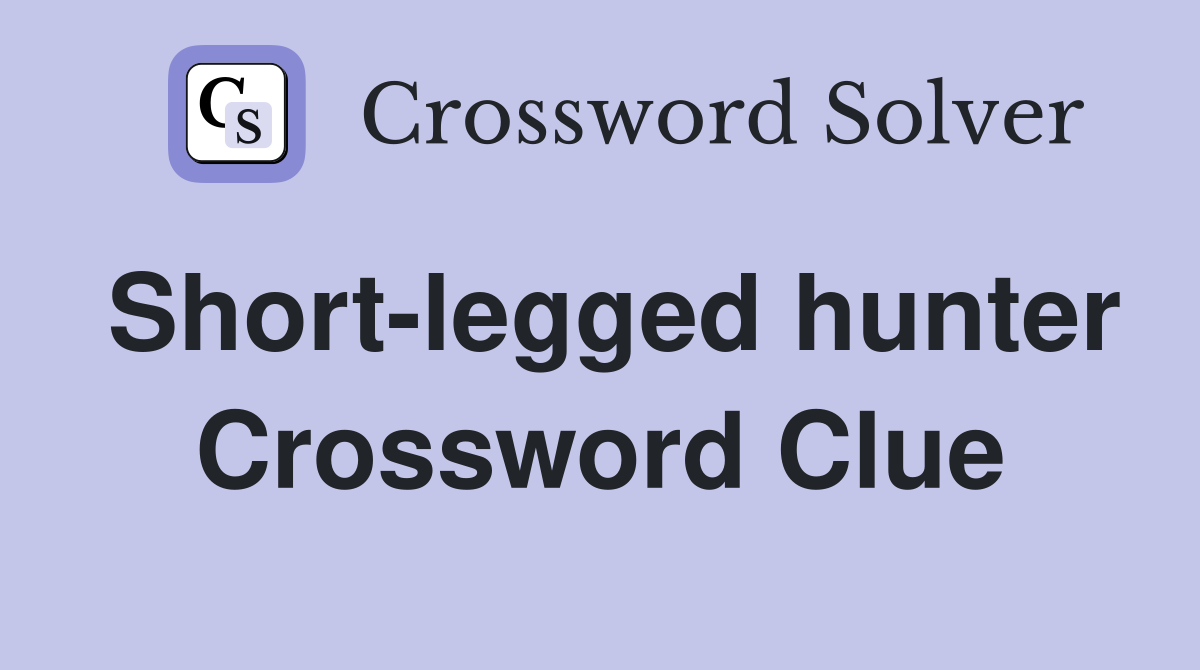 Short-legged hunter Crossword Clue