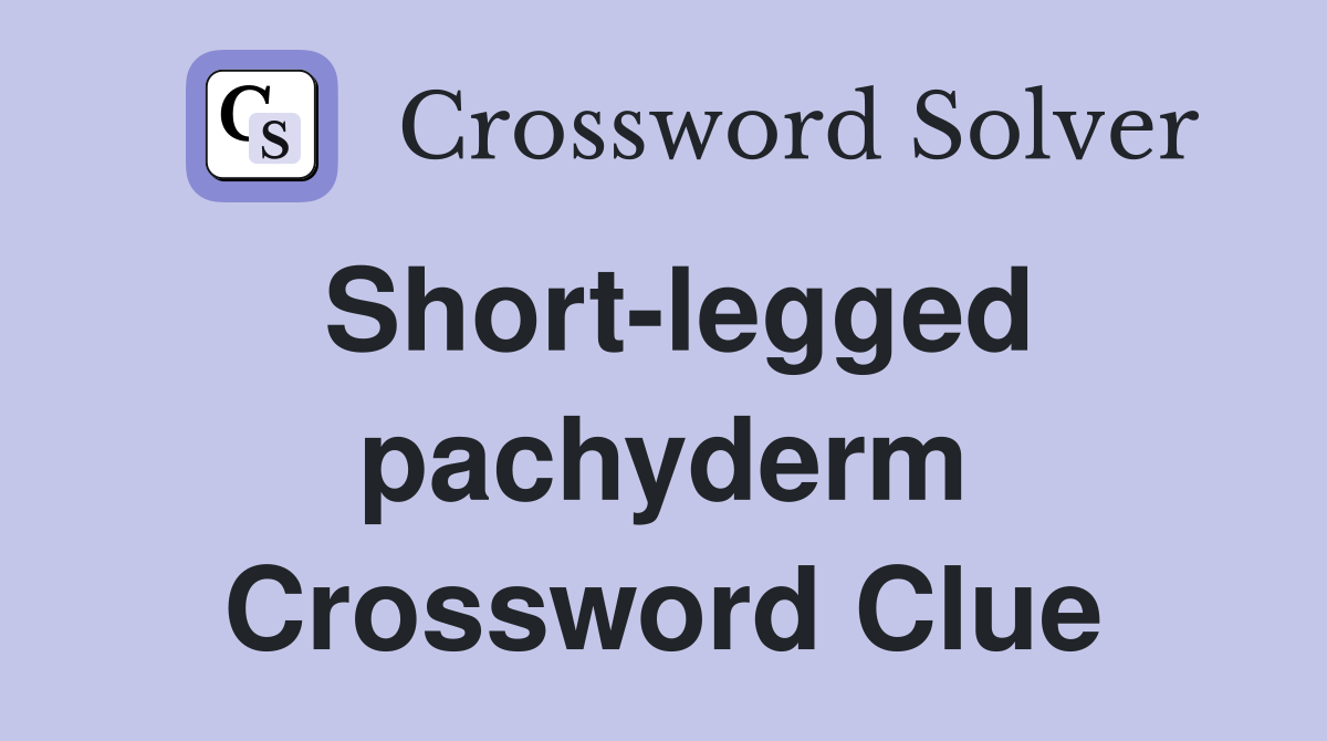 Short-legged pachyderm Crossword Clue