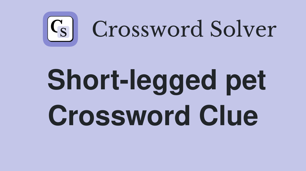 Short-legged pet Crossword Clue