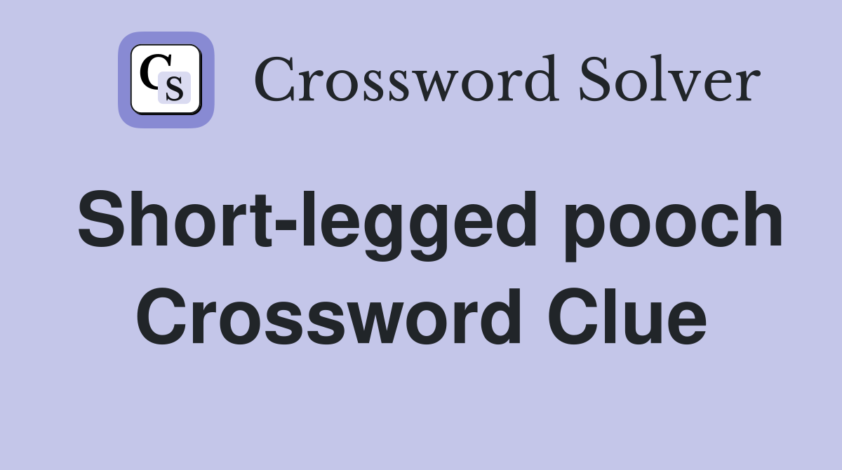 Short-legged pooch Crossword Clue
