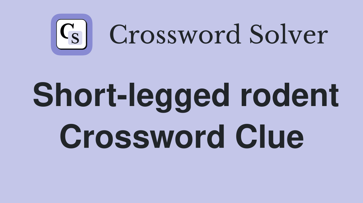 Short-legged rodent Crossword Clue