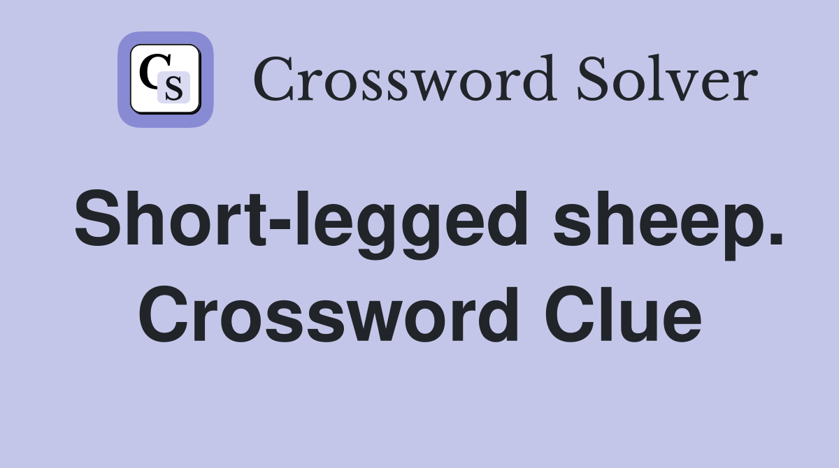 Short-legged sheep. Crossword Clue