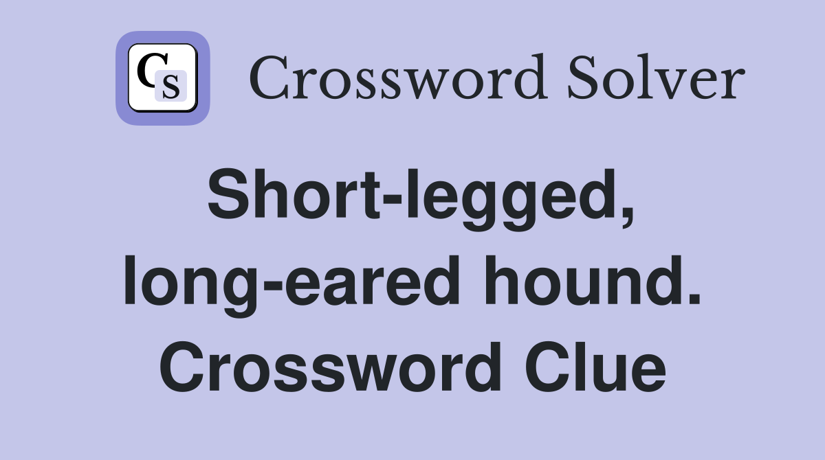 Short-legged, long-eared hound. Crossword Clue