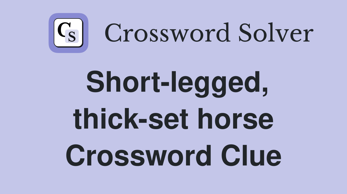 Short-legged, thick-set horse Crossword Clue