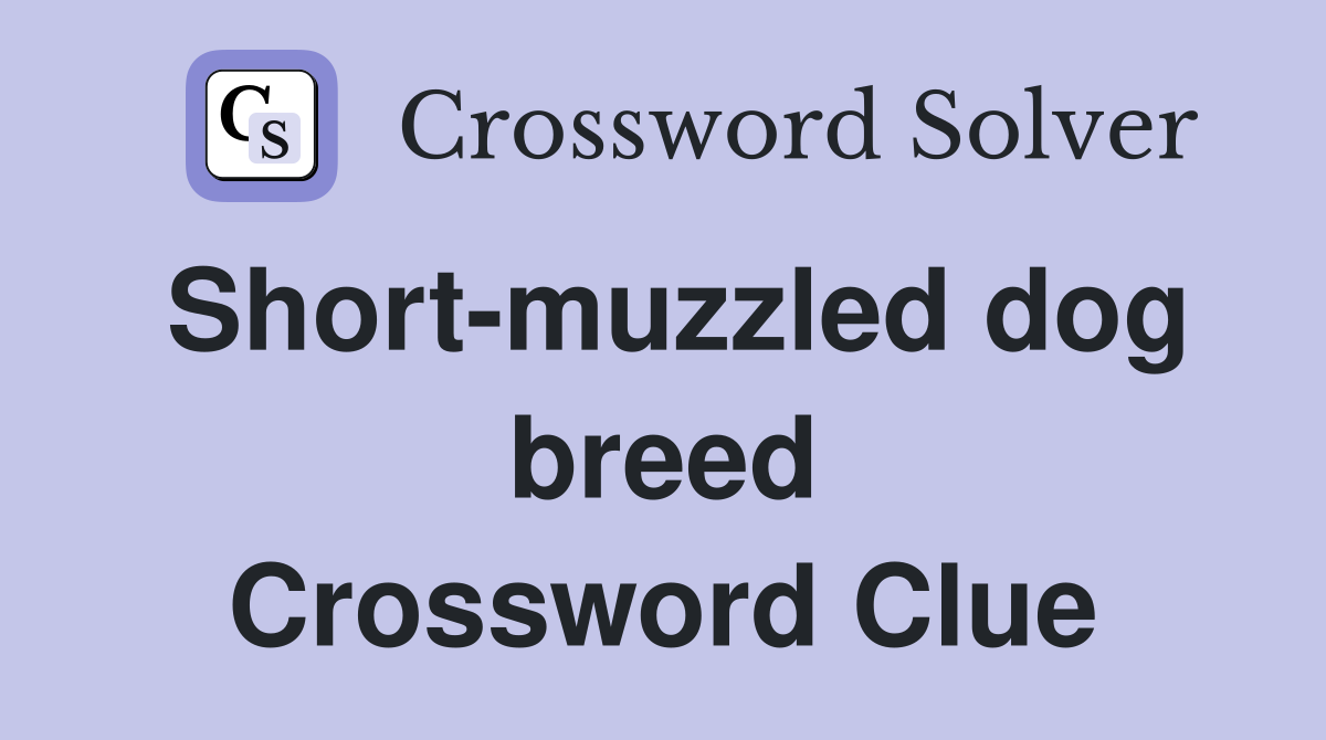 Short-muzzled dog breed Crossword Clue