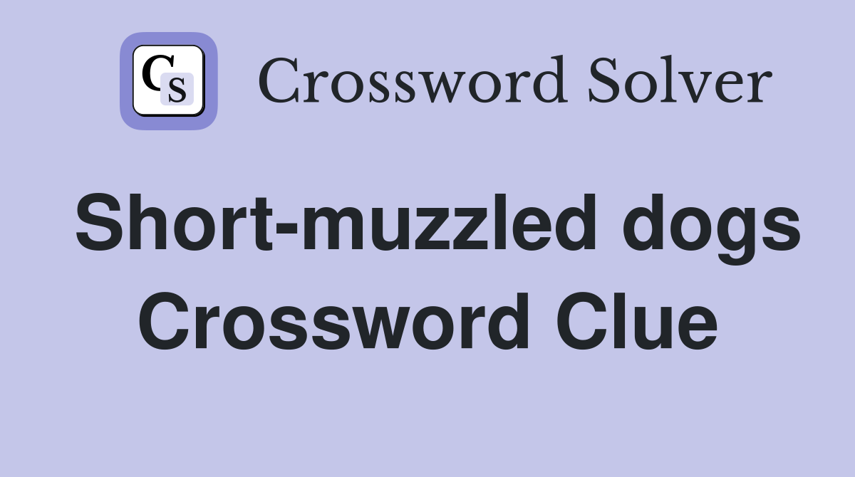 Short-muzzled dogs Crossword Clue
