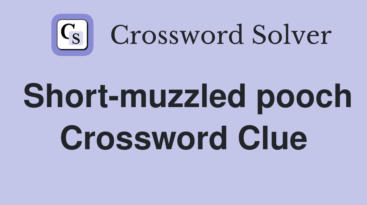 Short-muzzled pooch Crossword Clue