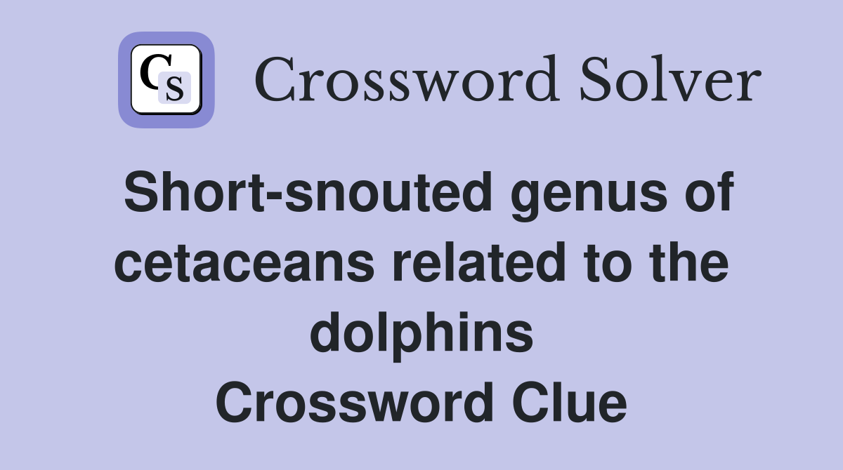 Short-snouted genus of cetaceans related to the dolphins Crossword Clue