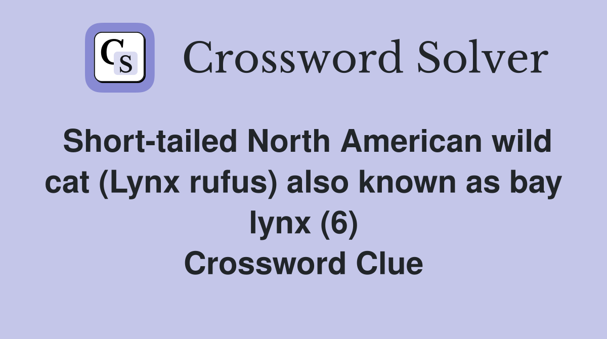 Short-tailed North American wild cat (Lynx rufus) also known as bay lynx (6) Crossword Clue