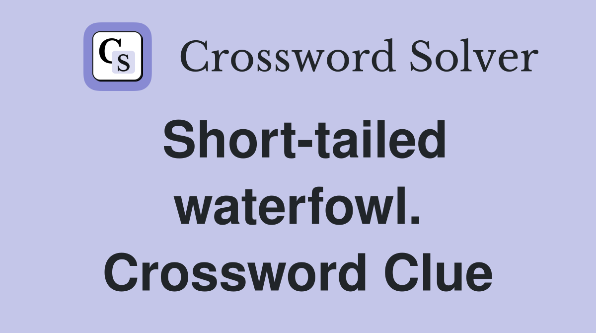 Short-tailed waterfowl. Crossword Clue