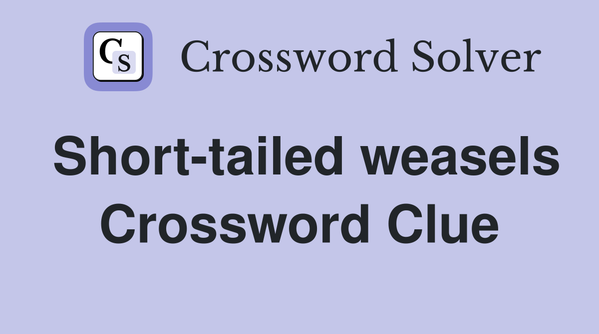 Short-tailed weasels Crossword Clue