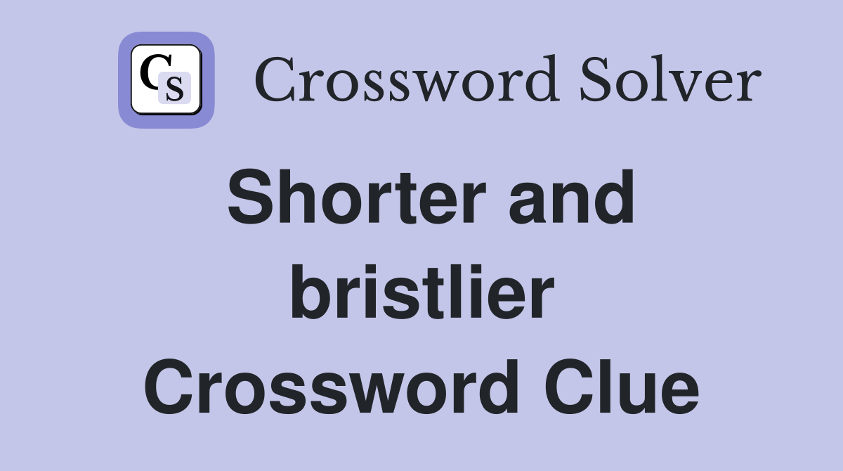 Shorter and bristlier Crossword Clue