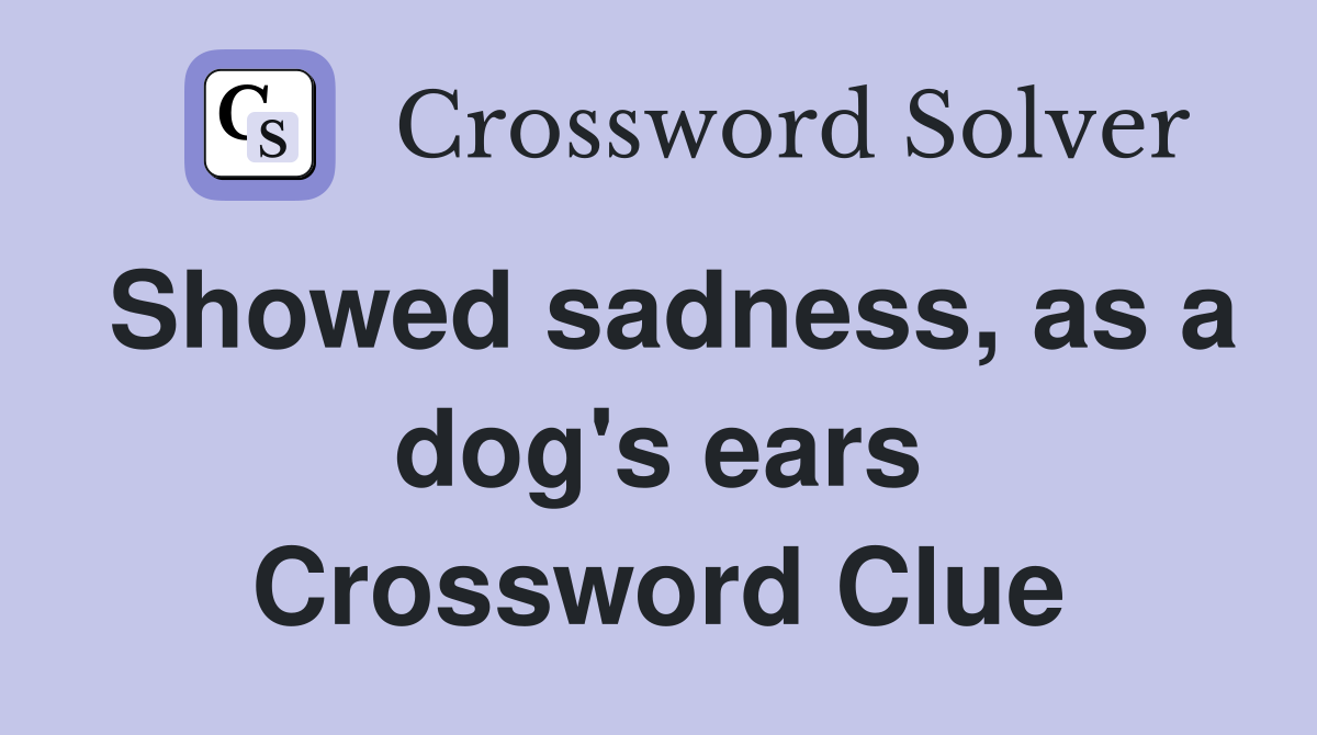 Showed sadness, as a dog's ears Crossword Clue