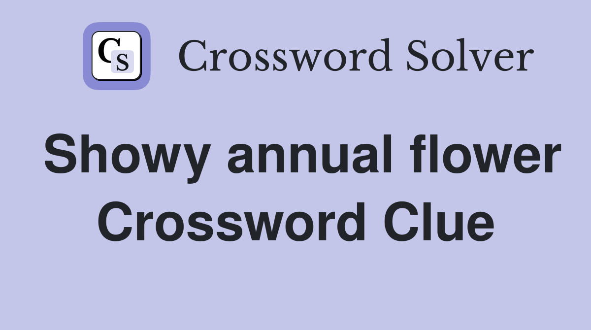 Showy annual flower Crossword Clue
