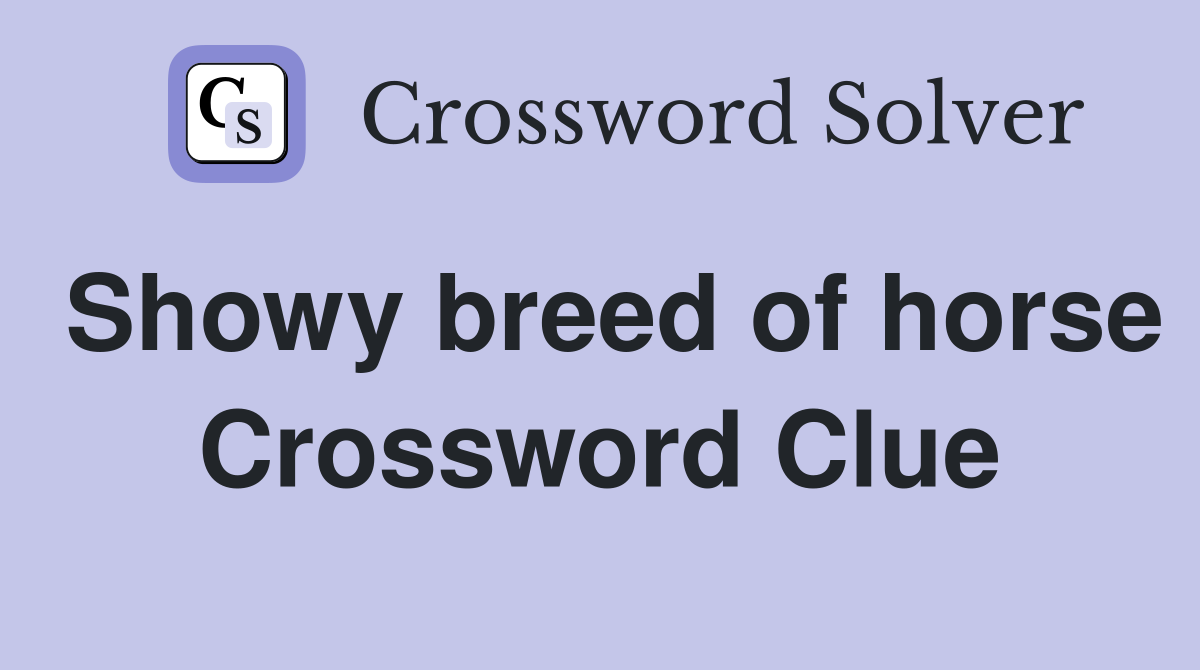 Showy breed of horse Crossword Clue