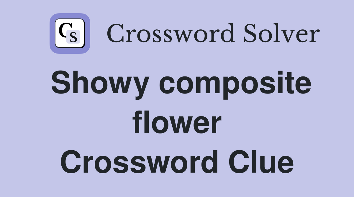 Showy composite flower Crossword Clue
