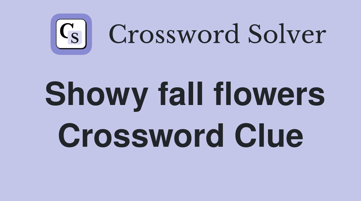 Showy fall flowers Crossword Clue