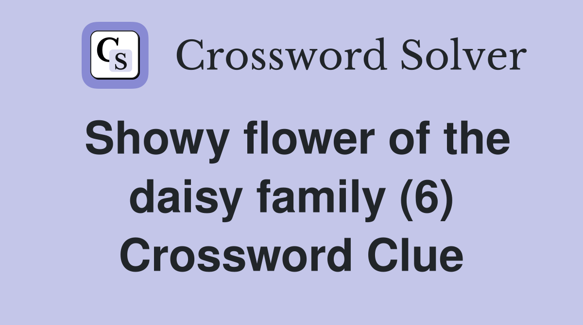 Showy flower of the daisy family (6) Crossword Clue
