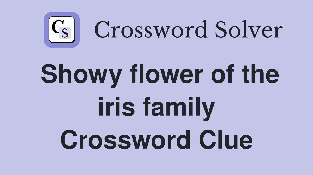 Showy flower of the iris family Crossword Clue