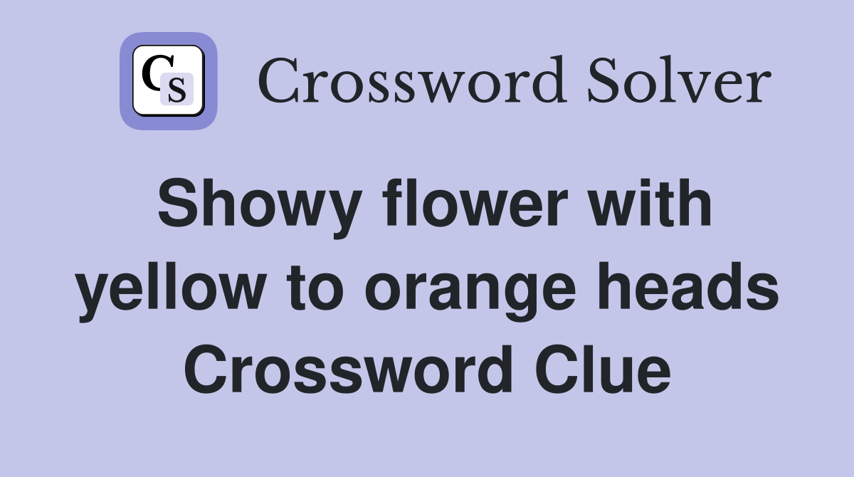 Showy flower with yellow to orange heads Crossword Clue