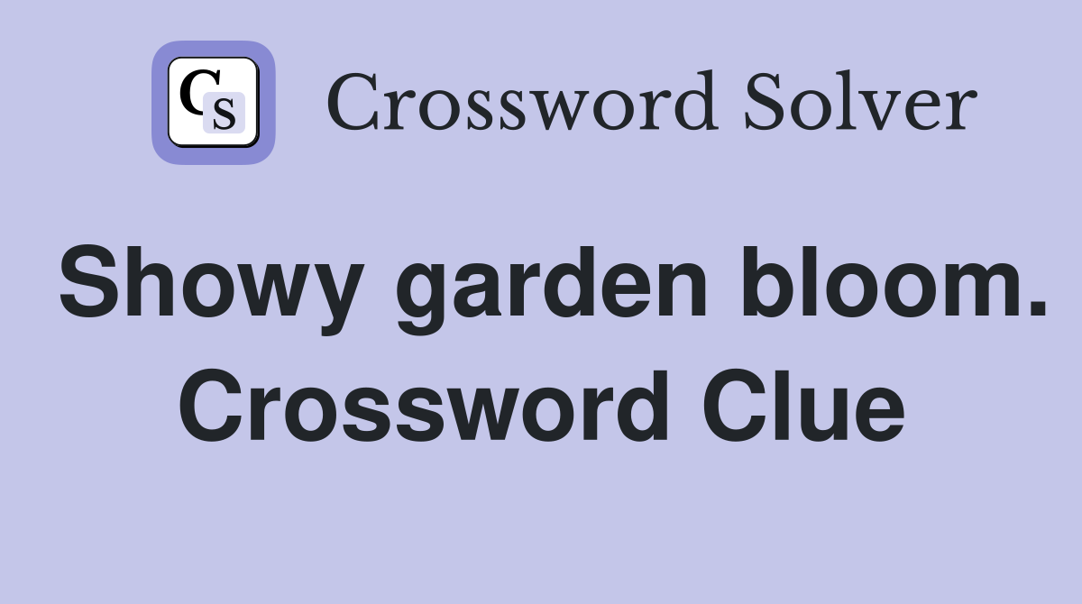 Showy garden bloom. Crossword Clue