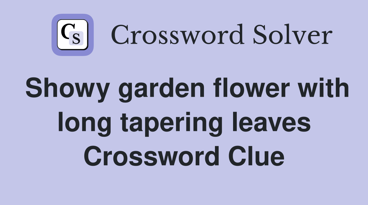 Showy garden flower with long tapering leaves Crossword Clue