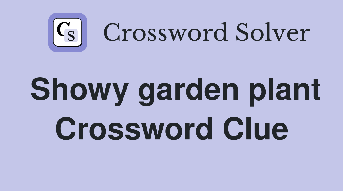 Showy garden plant Crossword Clue