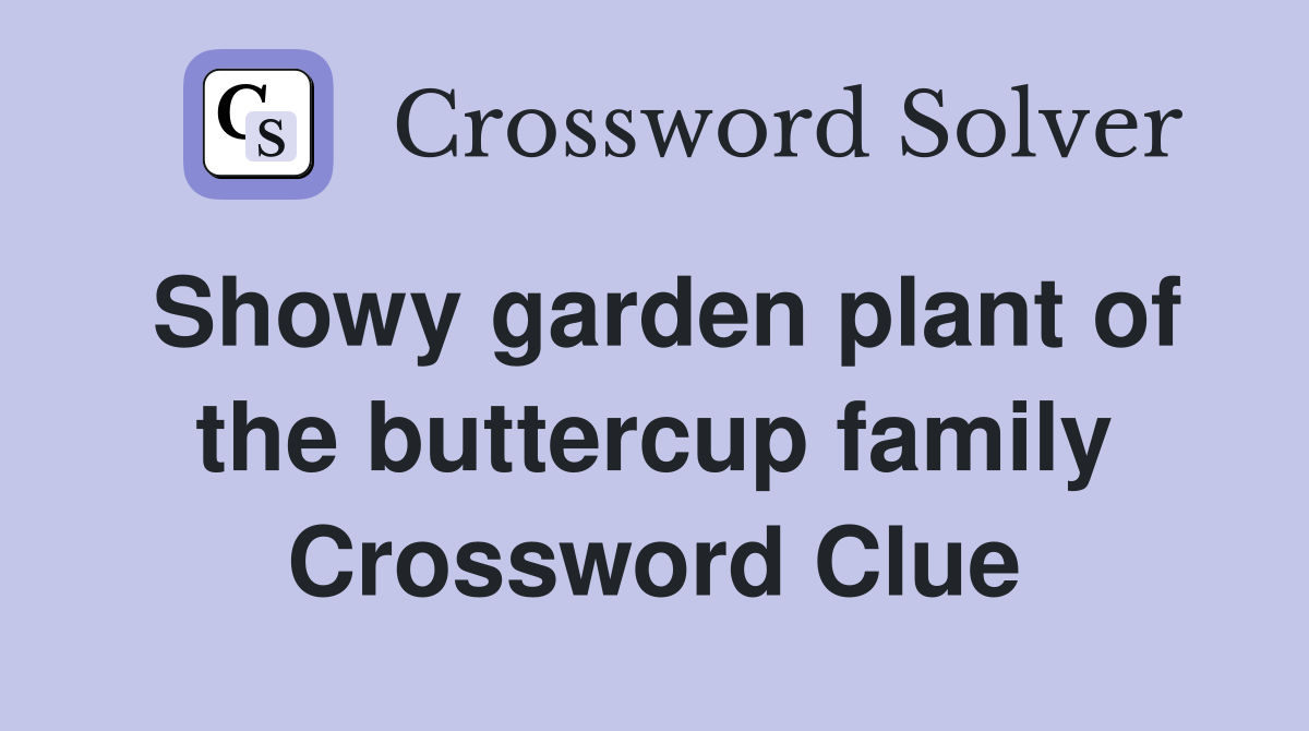 Showy garden plant of the buttercup family Crossword Clue
