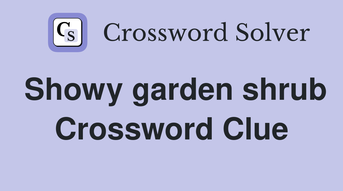 Showy garden shrub Crossword Clue