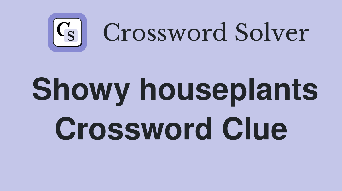 Showy houseplants Crossword Clue