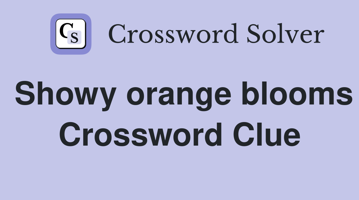 Showy orange blooms Crossword Clue