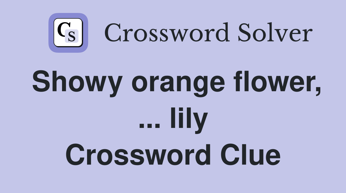 Showy orange flower, ... lily Crossword Clue