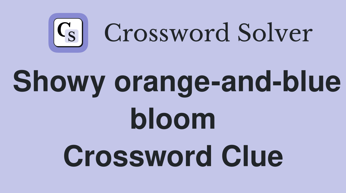 Showy orange-and-blue bloom Crossword Clue