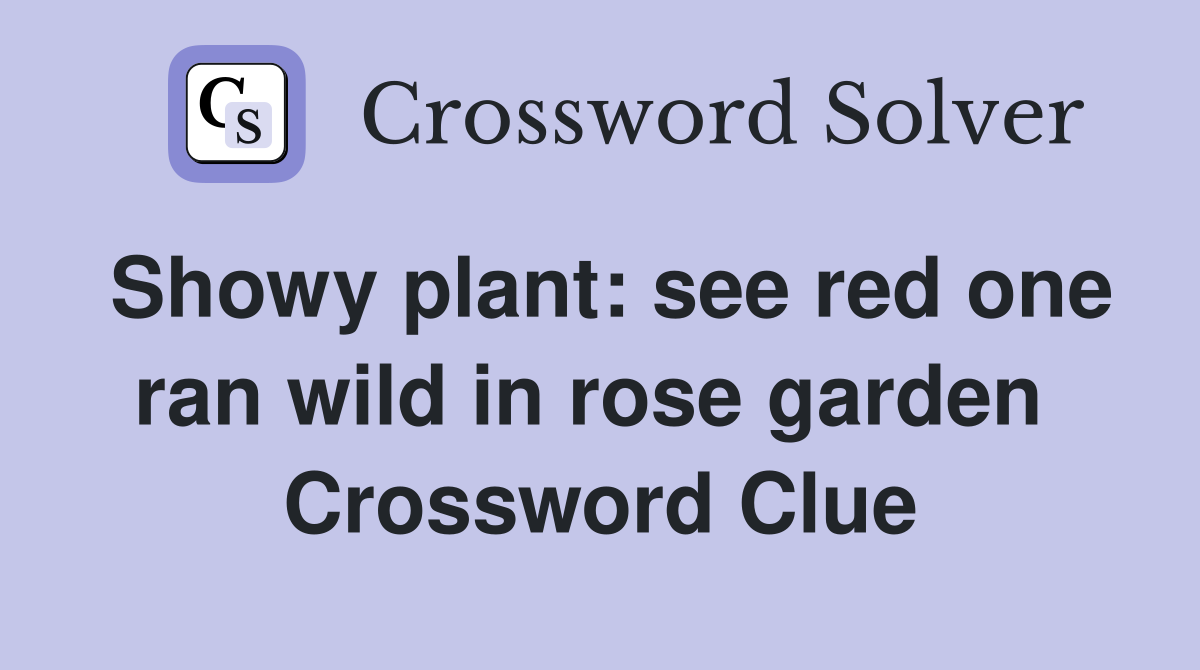 Showy plant: see red one ran wild in rose garden  Crossword Clue
