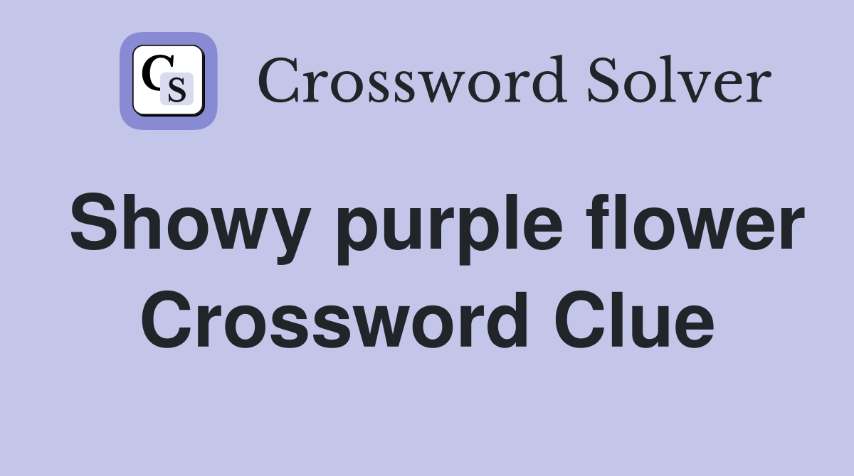 Showy purple flower Crossword Clue
