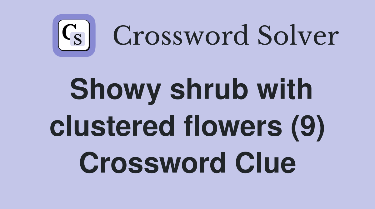 Showy shrub with clustered flowers (9) Crossword Clue