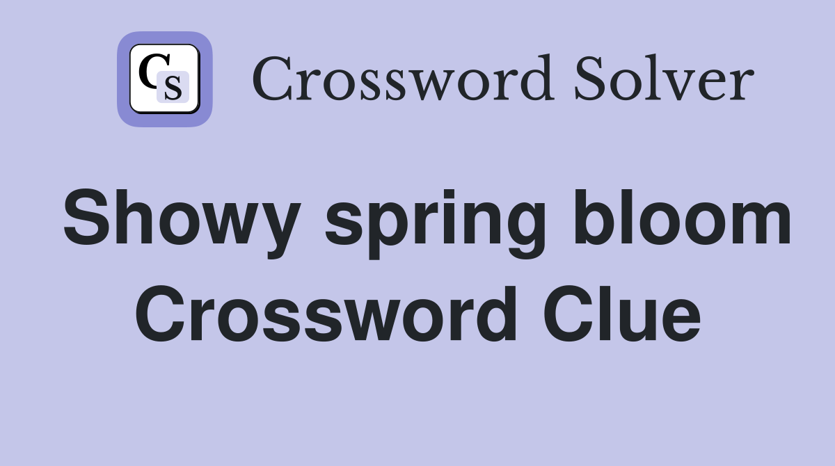 Showy spring bloom Crossword Clue