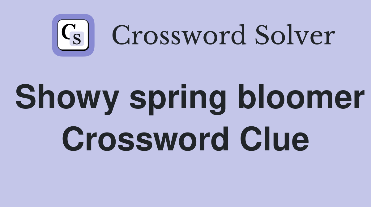 Showy spring bloomer Crossword Clue