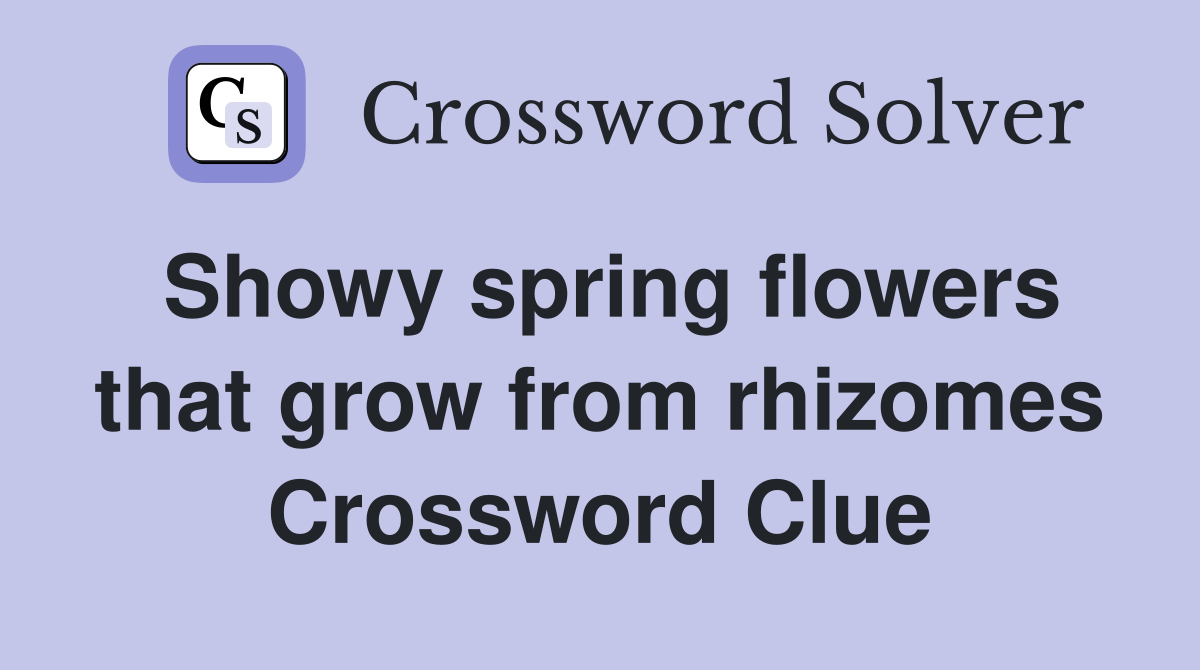 Showy spring flowers that grow from rhizomes Crossword Clue