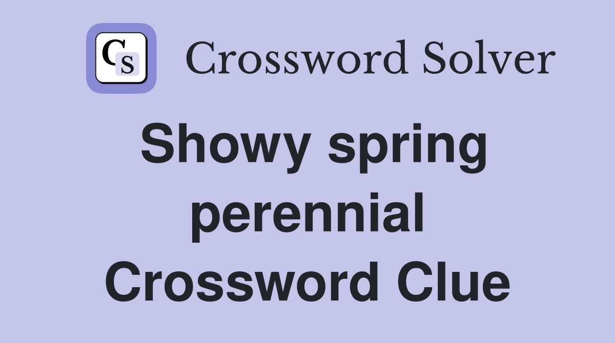 Showy spring perennial Crossword Clue