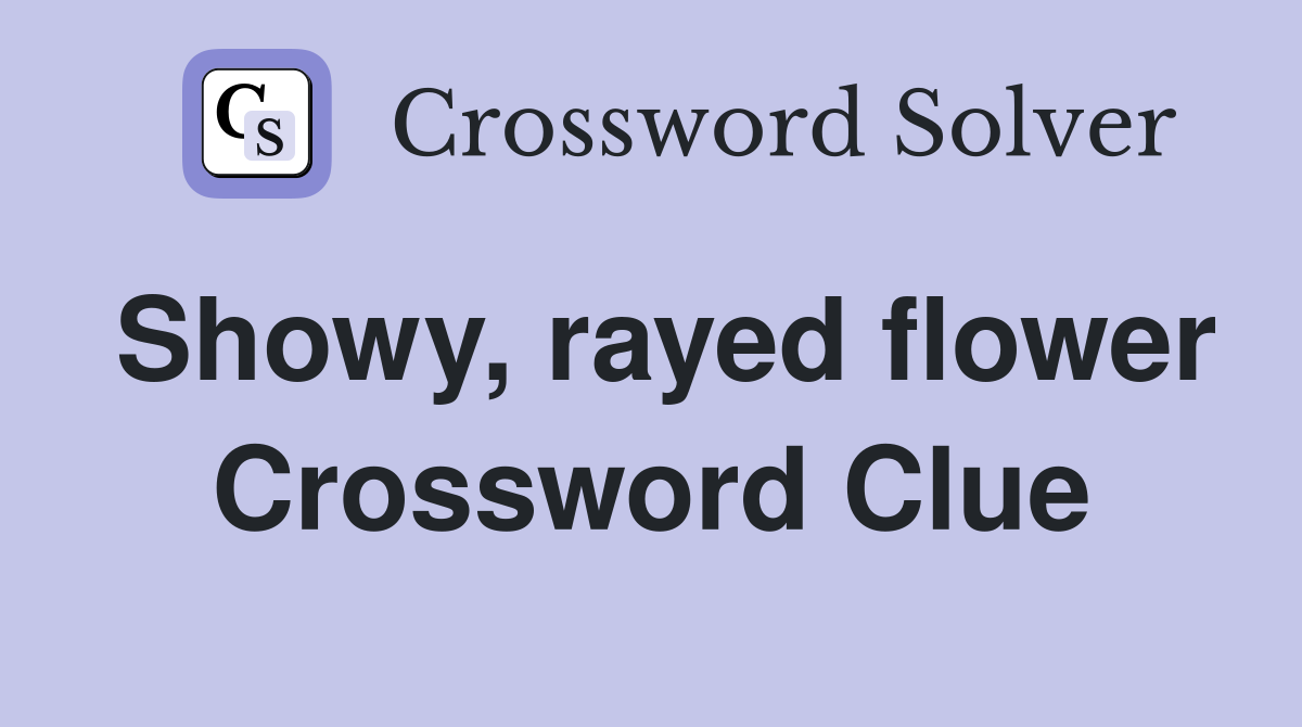 Showy, rayed flower Crossword Clue