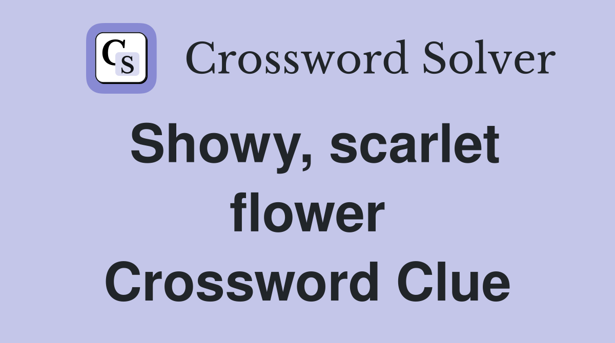 Showy, scarlet flower Crossword Clue