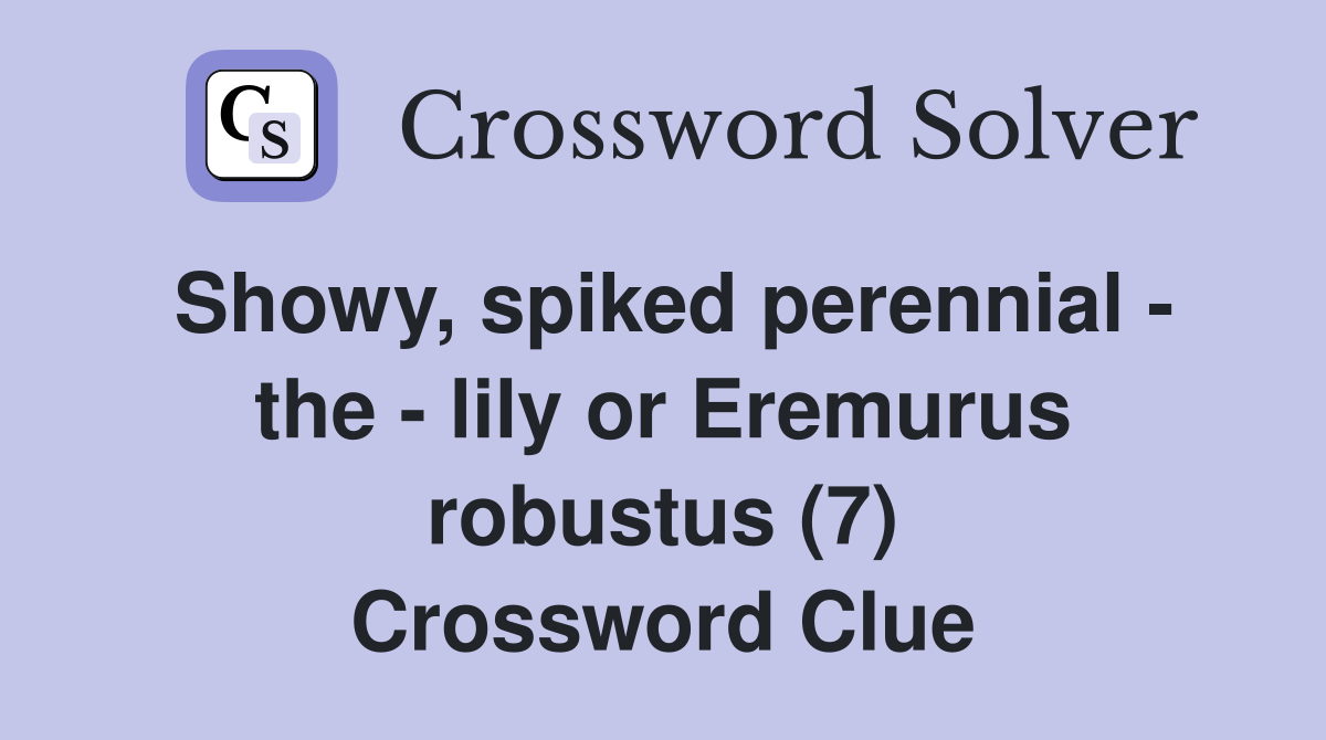 Showy, spiked perennial - the - lily or Eremurus robustus (7) Crossword Clue