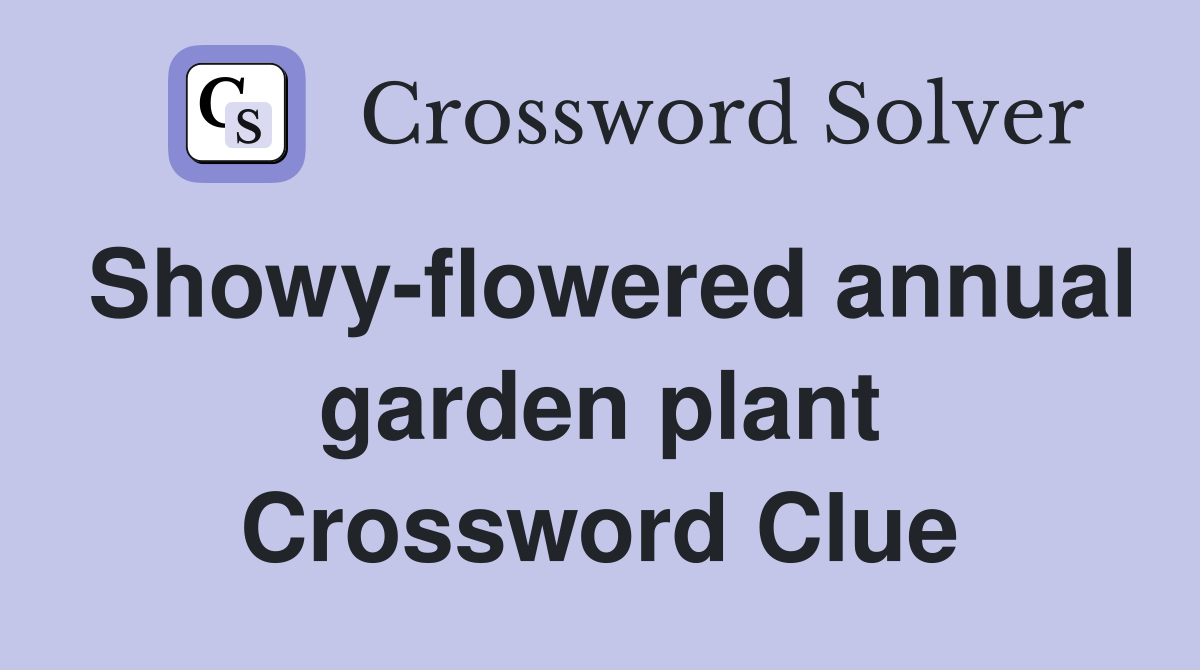 Showy-flowered annual garden plant Crossword Clue